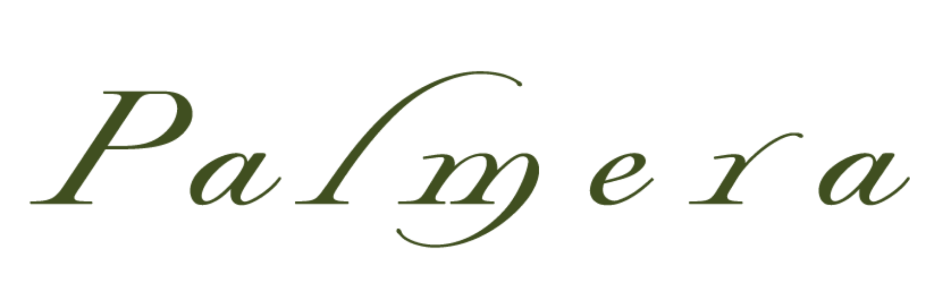 Palmera